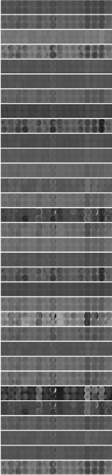 First layer, 7//2 convolutional layer activations. Click for larger image (<b>24MB</b>).