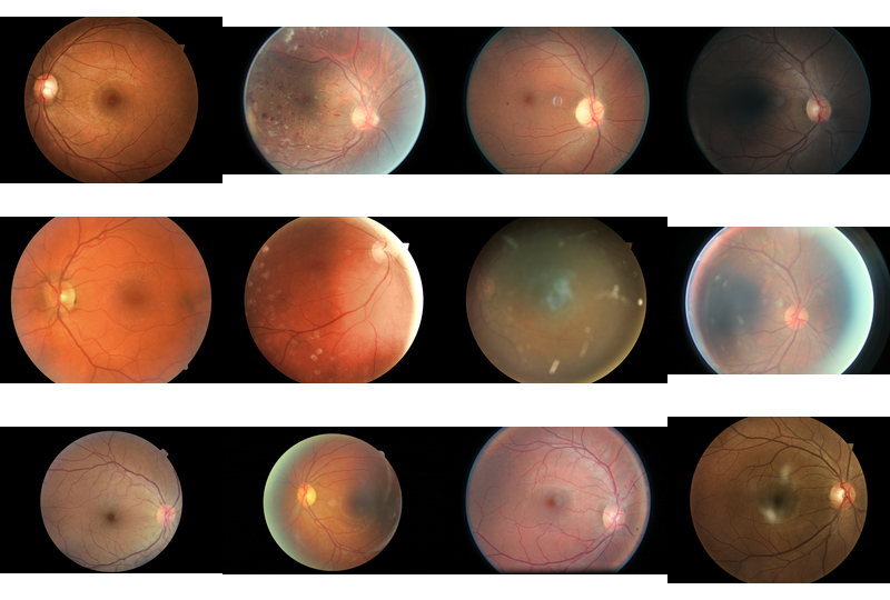 Some pseudorandom samples from the training set. Notice the black borders and different aspect ratios.